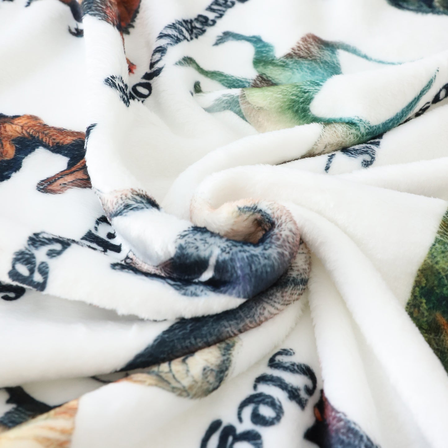 Personalized Custom Dinosaurs Collection Name Blankets - Gift for Kids