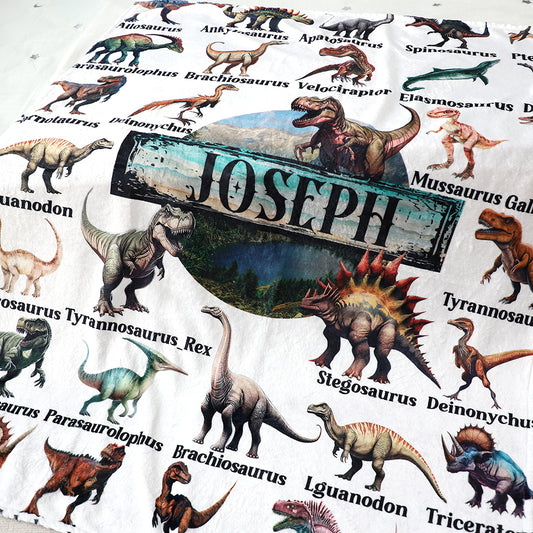 Personalized Custom Dinosaurs Collection Name Blankets - Gift for Kid